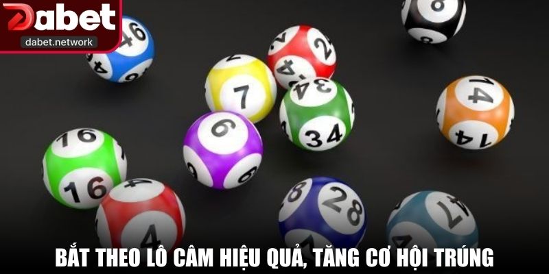 Bắt theo lô câm hiệu quả, tăng cơ hội trúng